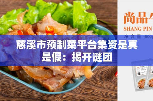 慈溪市预制菜平台集资是真是假：揭开谜团