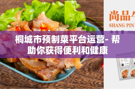 桐城市预制菜平台运营- 帮助你获得便利和健康