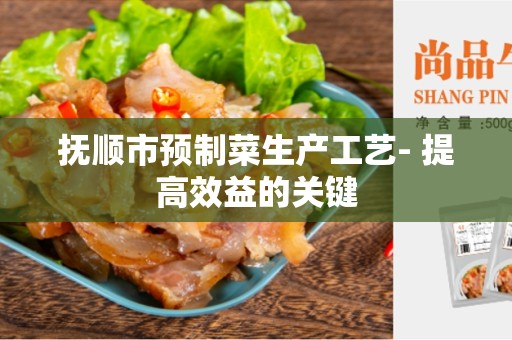 抚顺市预制菜生产工艺- 提高效益的关键