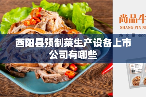 酉阳县预制菜生产设备上市公司有哪些