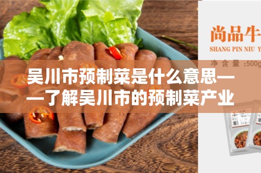 吴川市预制菜是什么意思——了解吴川市的预制菜产业