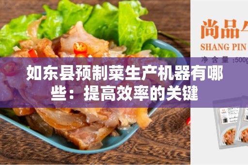 如东县预制菜生产机器有哪些：提高效率的关键