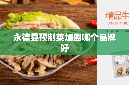 永德县预制菜加盟哪个品牌好