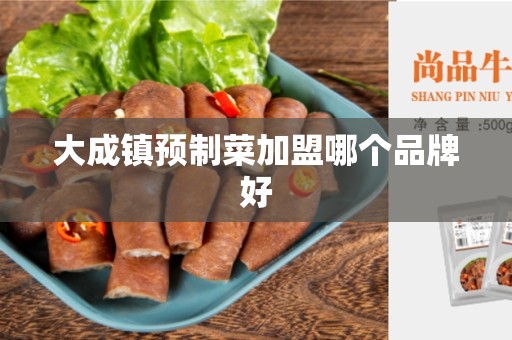 大成镇预制菜加盟哪个品牌好