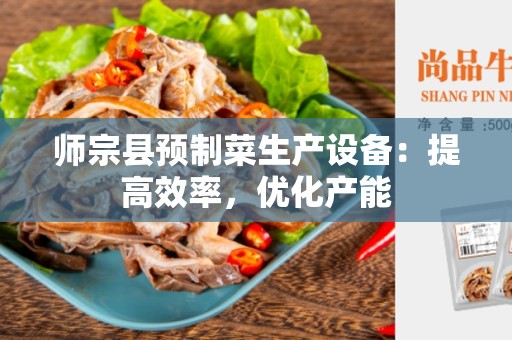 师宗县预制菜生产设备：提高效率，优化产能