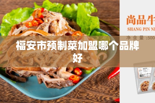 福安市预制菜加盟哪个品牌好