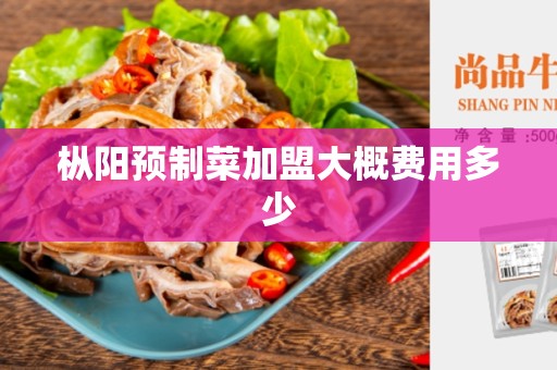 枞阳预制菜加盟大概费用多少