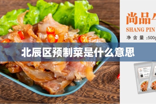 北辰区预制菜是什么意思