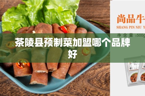 茶陵县预制菜加盟哪个品牌好