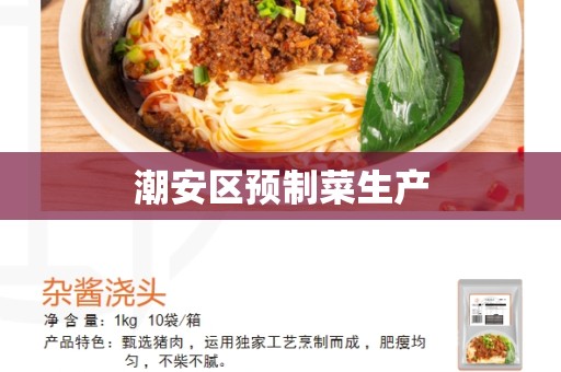潮安区预制菜生产