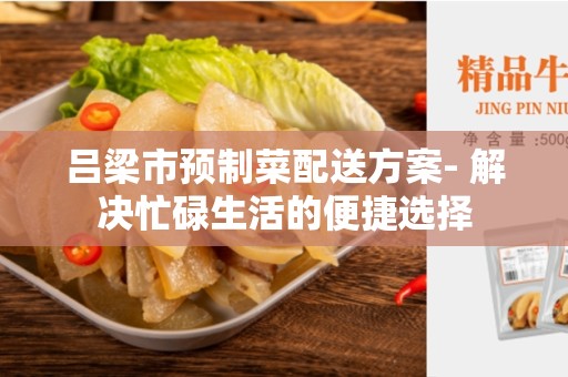 吕梁市预制菜配送方案- 解决忙碌生活的便捷选择
