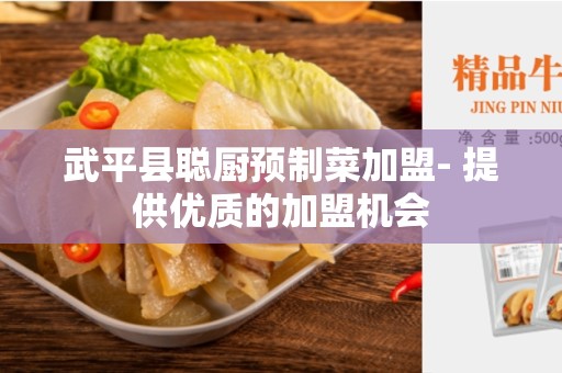 武平县聪厨预制菜加盟- 提供优质的加盟机会