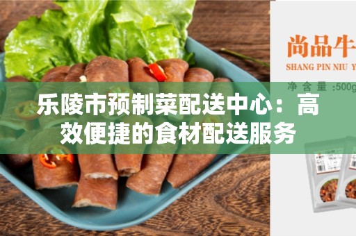 乐陵市预制菜配送中心：高效便捷的食材配送服务