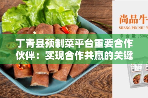 丁青县预制菜平台重要合作伙伴：实现合作共赢的关键因素