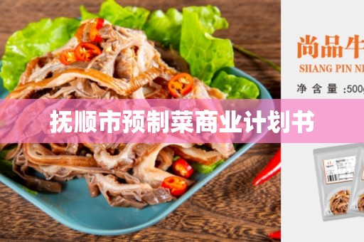 抚顺市预制菜商业计划书