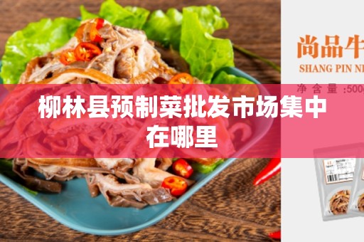 柳林县预制菜批发市场集中在哪里