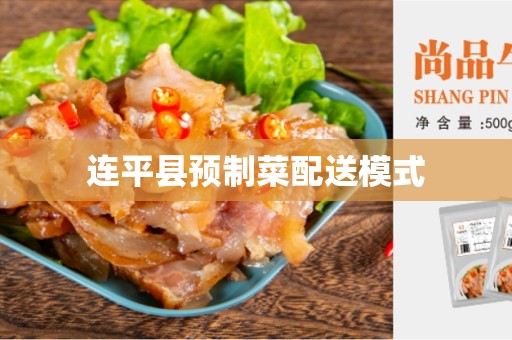 连平县预制菜配送模式