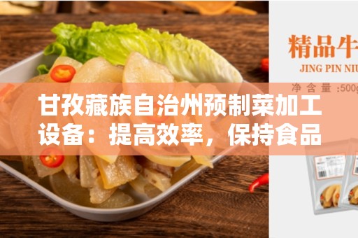 甘孜藏族自治州预制菜加工设备：提高效率，保持食品品质的最佳选择
