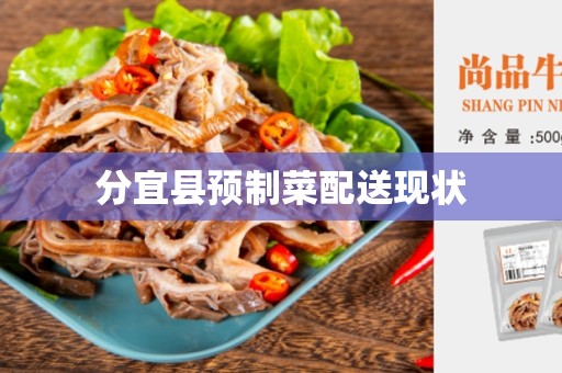 分宜县预制菜配送现状