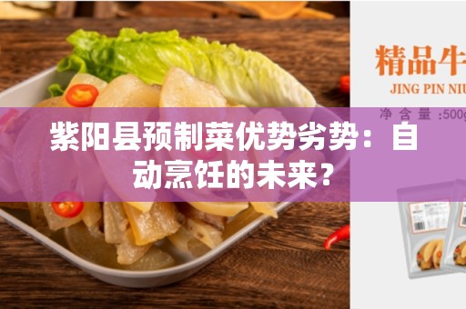 紫阳县预制菜优势劣势：自动烹饪的未来？