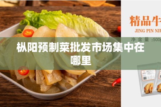枞阳预制菜批发市场集中在哪里