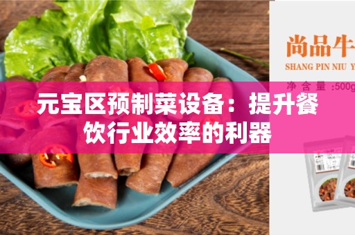 元宝区预制菜设备：提升餐饮行业效率的利器