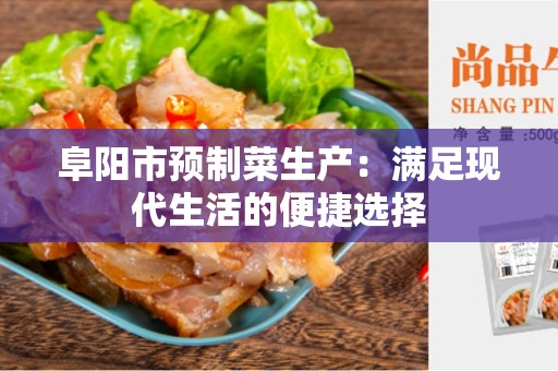 阜阳市预制菜生产：满足现代生活的便捷选择