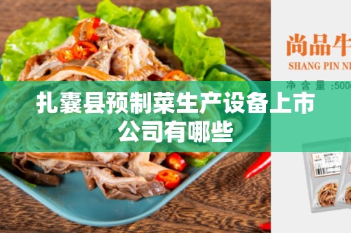 扎囊县预制菜生产设备上市公司有哪些
