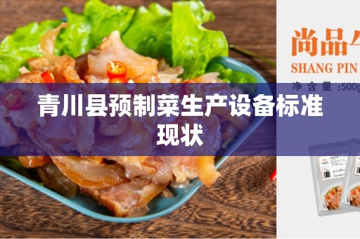 青川县预制菜生产设备标准现状