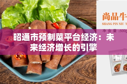 昭通市预制菜平台经济：未来经济增长的引擎