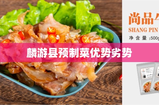 麟游县预制菜优势劣势