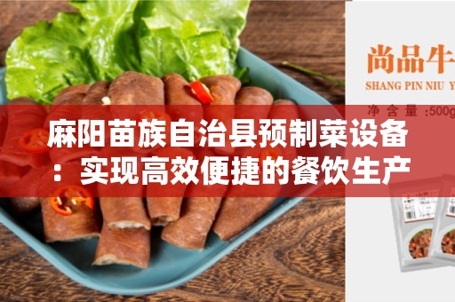 麻阳苗族自治县预制菜设备：实现高效便捷的餐饮生产