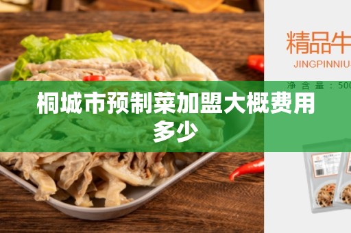 桐城市预制菜加盟大概费用多少