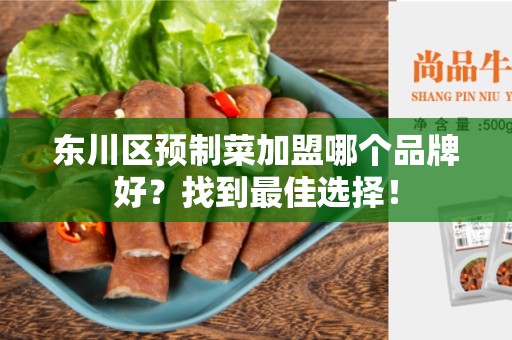 东川区预制菜加盟哪个品牌好？找到最佳选择！