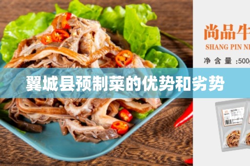 翼城县预制菜的优势和劣势