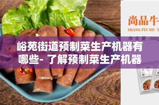 峪苑街道预制菜生产机器有哪些- 了解预制菜生产机器的种类和功能