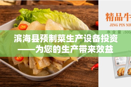 滨海县预制菜生产设备投资——为您的生产带来效益
