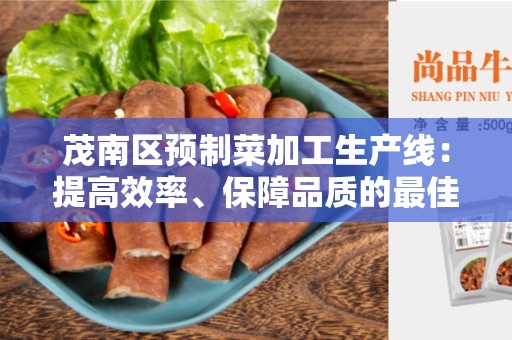 茂南区预制菜加工生产线：提高效率、保障品质的最佳选择