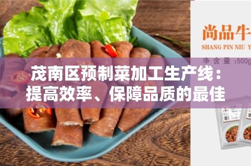 茂南区预制菜加工生产线：提高效率、保障品质的最佳选择