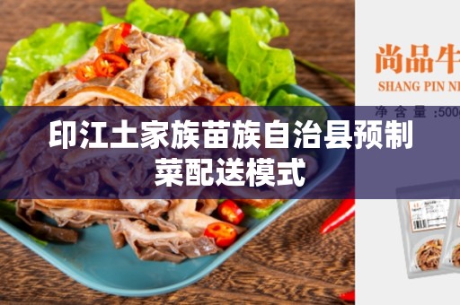 印江土家族苗族自治县预制菜配送模式