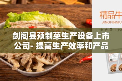 剑阁县预制菜生产设备上市公司- 提高生产效率和产品质量的关键
