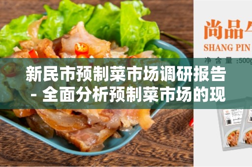 新民市预制菜市场调研报告 - 全面分析预制菜市场的现状和发展趋势