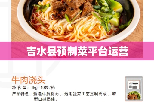 吉水县预制菜平台运营