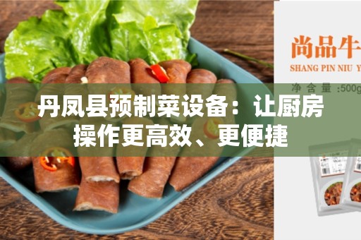 丹凤县预制菜设备：让厨房操作更高效、更便捷