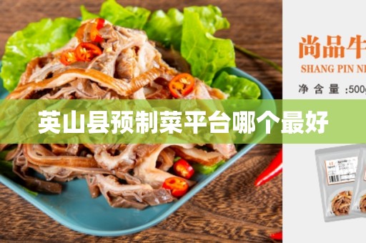 英山县预制菜平台哪个最好