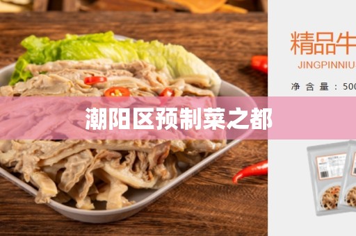 潮阳区预制菜之都