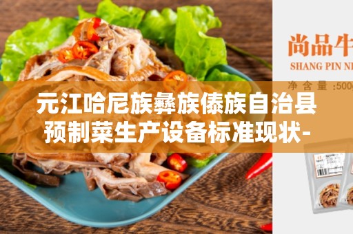元江哈尼族彝族傣族自治县预制菜生产设备标准现状- 了解其现状和未来发展趋势