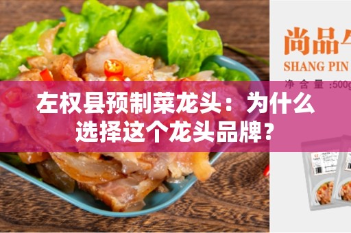 左权县预制菜龙头：为什么选择这个龙头品牌？