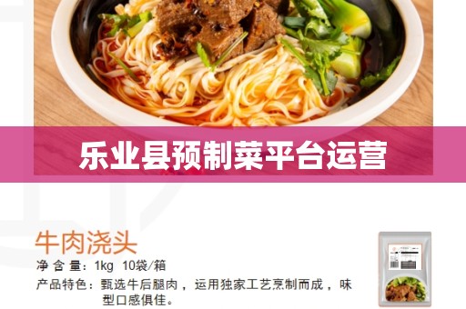 乐业县预制菜平台运营