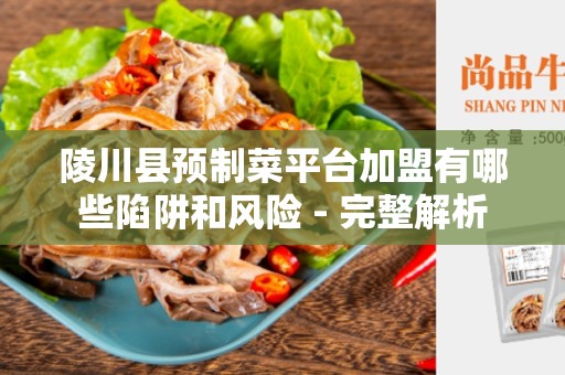 陵川县预制菜平台加盟有哪些陷阱和风险 - 完整解析